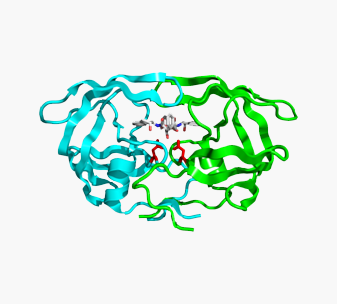 inhibitoriai_1576226572-316a4ead4a9accd18b48265ac63e9f30.png